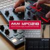 imageAKAI Professional LPD8  USB MIDI Controller with 8 Responsive RGB MPC Drum Pads for Mac and PC 8 Assignable Knobs and Music Production SoftwareMPD218 Pack of 10