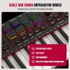 imageAkai Professional MPK Mini IV USBC MIDI Keyboard Controller for Beginners and Producers  MPC Drum Pads 360 Knobs Pitch ampamp Mod Wheels Lessons and Music Production Software with 1000 Sounds GreyBlack